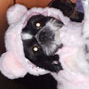 Meet your Posher, Eliza